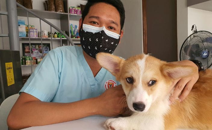 veterinary professional with corgi.